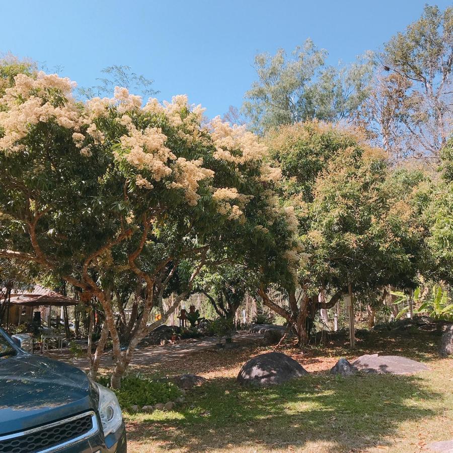 فندق สวนฉัน Igarden Ban Pang Champi المظهر الخارجي الصورة