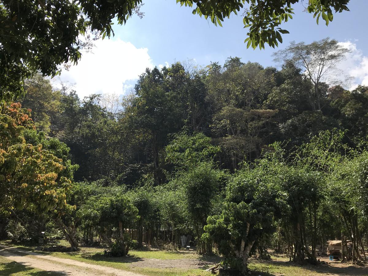 فندق สวนฉัน Igarden Ban Pang Champi المظهر الخارجي الصورة